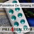 Ginseng Power X dapoxetine1